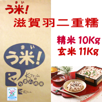 う米「滋賀羽二重糯」 10Kg　ロゴ