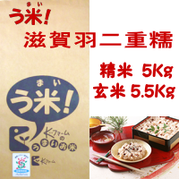 う米「滋賀羽二重糯」 5Kg　ロゴ